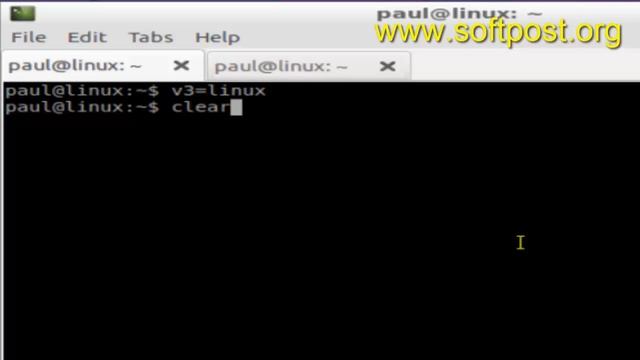 How to delete a local shell variable in Mac OSX Terminal смотреть онлайн