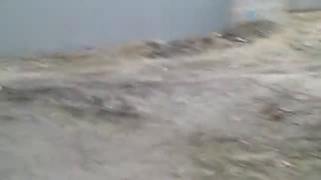 КОШИ ЗАНИМАЮТСЯ ЛЮБОВЬЮ(ГРУПАВУХА) ВСЕМ СОВЕТУЮ ПОСМОТРЕТЬ смотреть онлайн