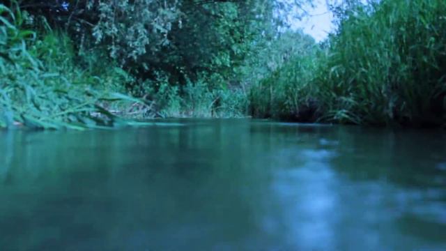 Река Вожа смотреть онлайн