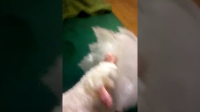 Как стать красивой для девочек смотреть онлайн