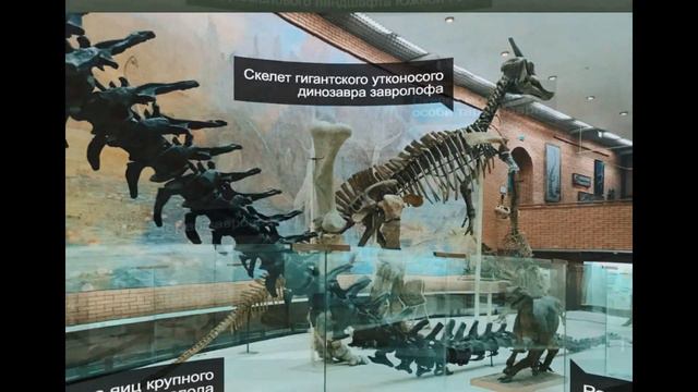 🔥ТОП 5 НЕ сКуЧнЫх🔥 музеев в Москве!👍 смотреть онлайн