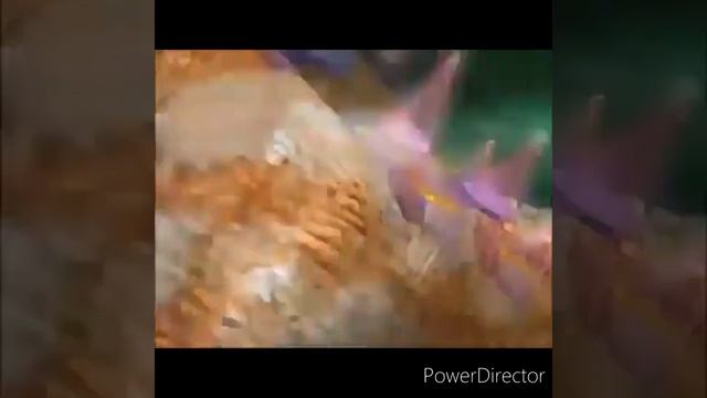 Ultimate Thunder,Wind,leaf,Fire,Water,Earth|Dinosaur king all ultimate moves смотреть онлайн
