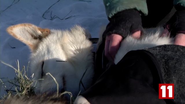 Rainy Pass: Drobny is singing, while a save by Sass keeps Maixner going смотреть онлайн