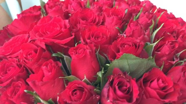 101 красная кенийская роза в крафте смотреть онлайн