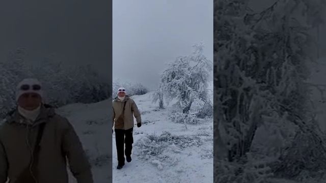 Холодно. холодно. но ни че ... смотреть онлайн
