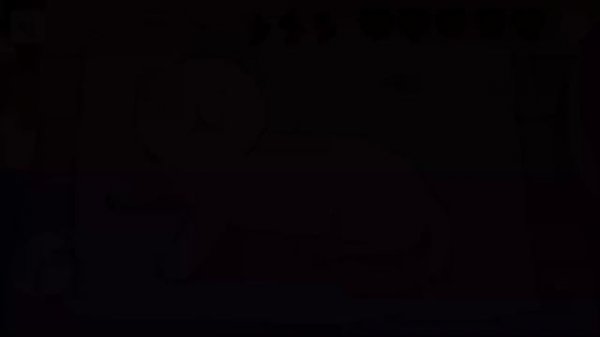 ~?вопросы и советы по игре adorable home?~