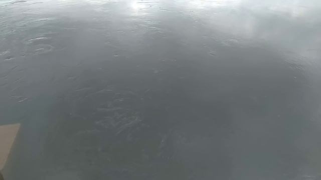 Северо-крымский канал. Днепровская вода полным ходом идет в Крым. смотреть онлайн