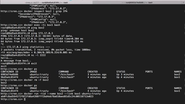 Docker Networking | Docker Getting Started | Lesson 013 смотреть онлайн