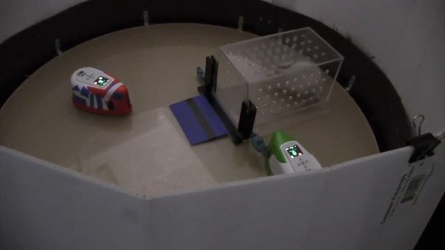 IRat open for rat смотреть онлайн