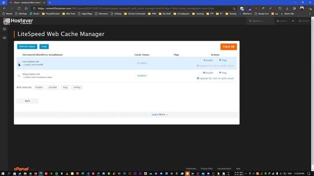 cPanel Crash Course (Bangla) - 12 - Litespeed Cache смотреть онлайн