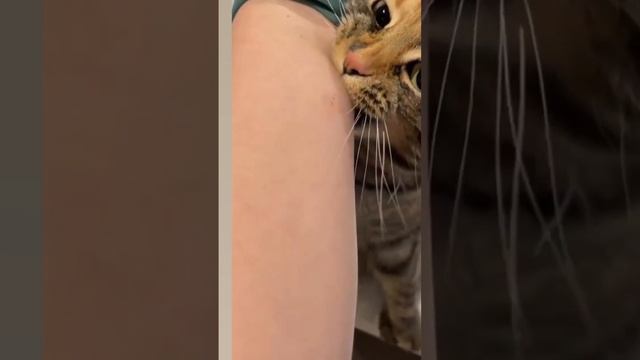 Can Someone Translate Plz