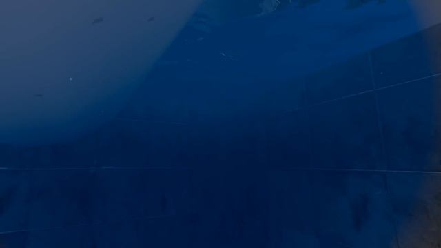 Я ЧЕРНАЯ ЖИЖА В ВР ( Vertigo Remastered VR ) смотреть онлайн