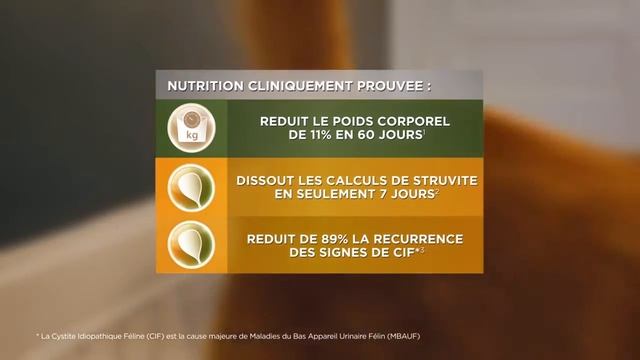 Hill's Diet Metabolic + Urinary - Alimentation Surpoids et Troubles Urinaires du Chat - Vetostore смотреть онлайн