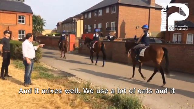 Can you hear in this Video what he says about Frankel? смотреть онлайн