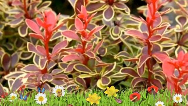 Лайфхаки для Красоты и Здоровья