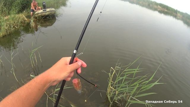 Рыбалка на спиннинги и кастинговую сеть в диких сибирских ручьях на сазана смотреть онлайн