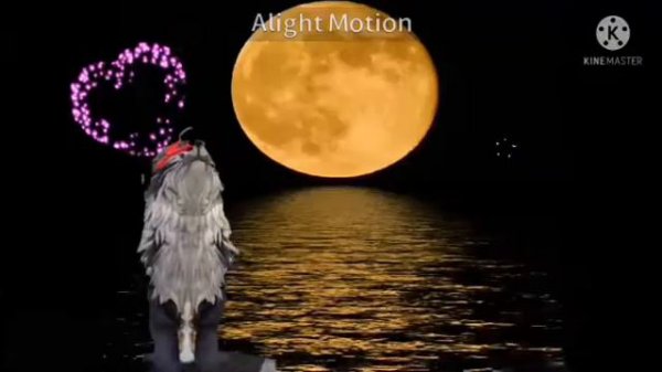 Клип для Луны,ты моя луна ты моё солнце (Wcm)