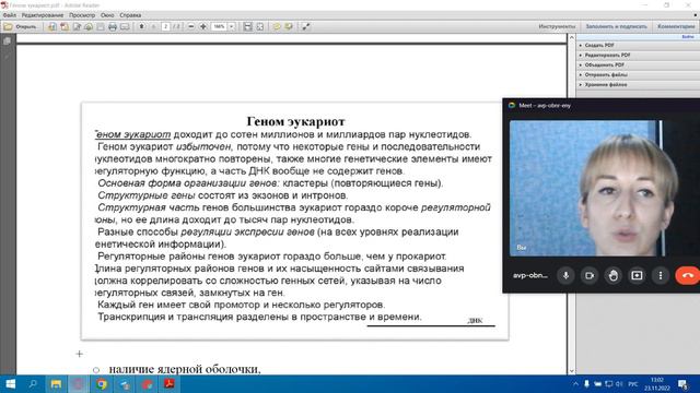 Геном эукариот смотреть онлайн
