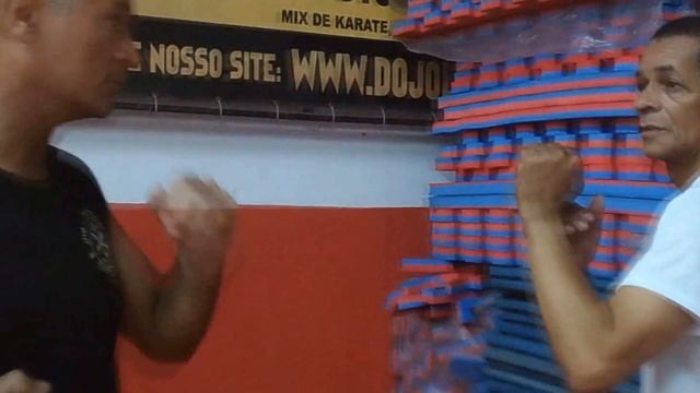 Dojo Luas Civilian Protection -Defesa Pessoal -Proteção Urbana Para Civis Brazil 2017 смотреть онлайн