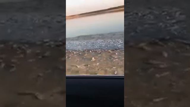 НОВАЯ ЭОЛОГИЧЕСКИ -СЧАСТЛИВАЯ ТОЧКА РОССИИ"АРШАНЬ-ЗЕЛЬМЕНЬ В КАЛМЫКИИ смотреть онлайн