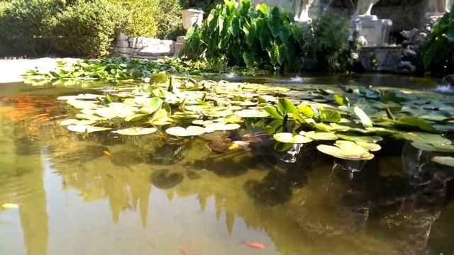 Game of Thrones filming location: Trsteno Arboretum смотреть онлайн