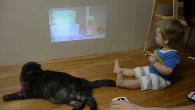 Смотрим любимые мультики с флешки (видео обзор CINEMOOD)