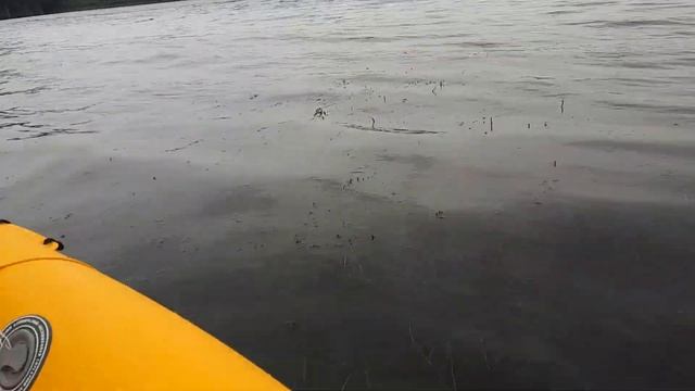4. Escapade Fleuve St Laurent Au Quebec En Kayak Gonflable Après Le Pont Sur Le Fleuve A Montréal