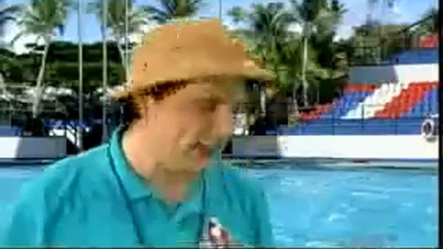 wkuk- Teached a Whale to Jump Out of It's Tail смотреть онлайн