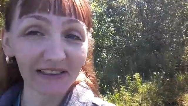 Поехали первый раз обкатывать двигатель на лодке смотреть онлайн