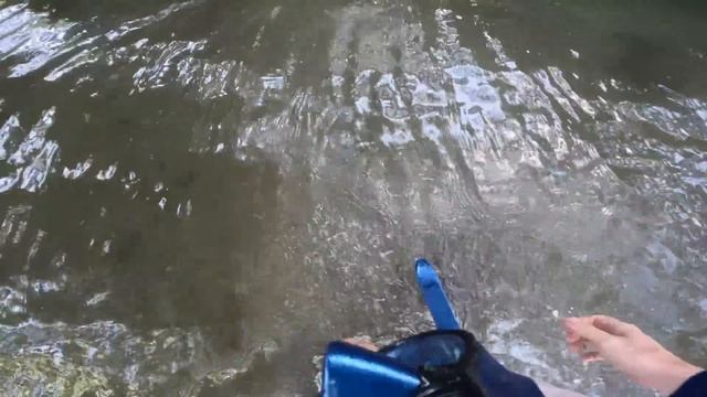 Жизнь в джунглях среди пальм  // Поехали к друзьям отцу и сыну, которые строят дом