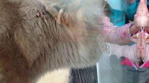 Новый зоопарк [Казань]