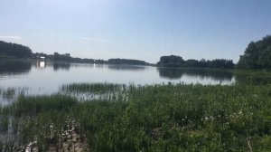 Поездка на пруд. Комсомольский Алтайский край