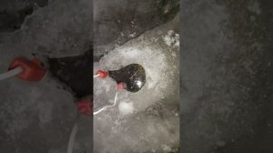 Как разморозить бак или еврокуб если забыл слить воду до заморозков / зимы?