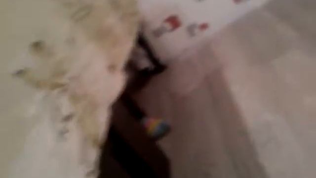 Ника съела кость! смотреть онлайн