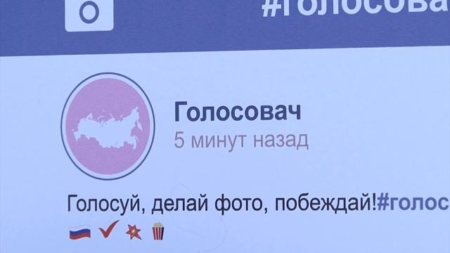 Фотоконкурс «Голосовач» в Белгородской области смотреть онлайн