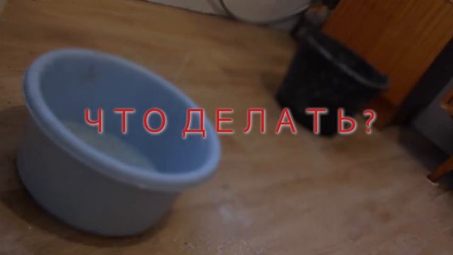 Просушить, высушить квартиру дом, помещение после залива, затопления, потопа https://sushkadoma.ru/ смотреть онлайн