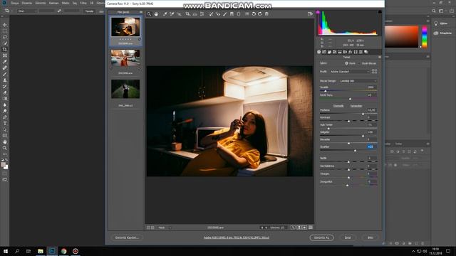 NY INSTAGRAM - PHOTOSHOP CAMERA RAW 30 FREE PRESETS смотреть онлайн
