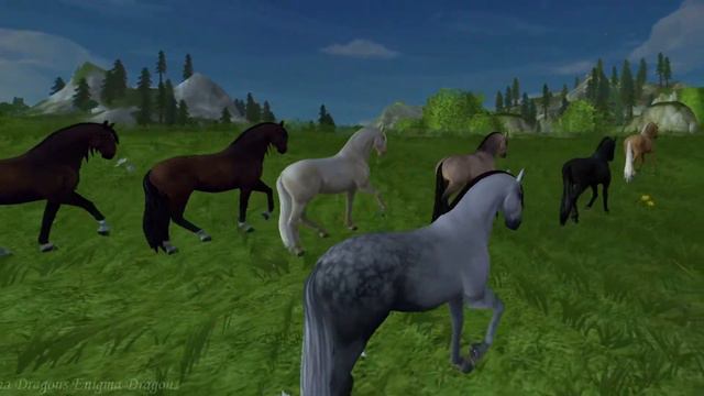 Enigma Dragons (SSO) - Лузитано (видео - обзор породы) смотреть онлайн