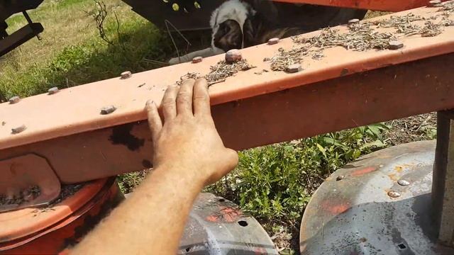 обзор косилки Wirax. сравнение косилок .mp4 смотреть онлайн