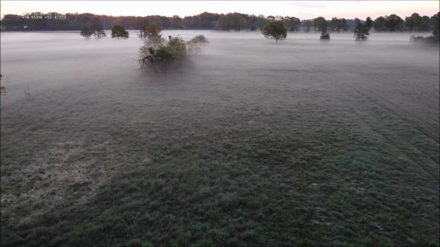 DJI Mavic 2 Enterprise Dual, Velstove, 1.Test Hasen suche смотреть онлайн