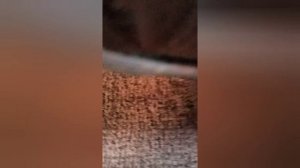 Как снять задние сиденья на Камри 40)))