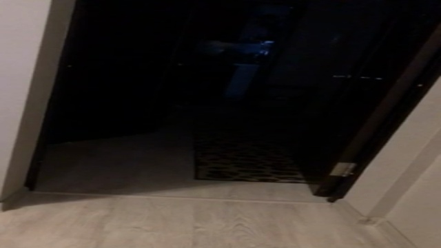 Кот узнал-хозяин хочет собаку смотреть онлайн