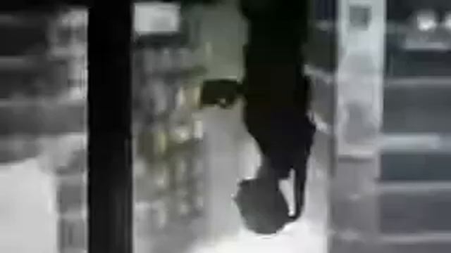 Как приручить леопарда в Minecraft смотреть онлайн