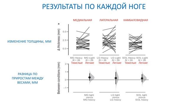 Сколько делать повторений для мышц голени? / Научный эксперимент смотреть онлайн