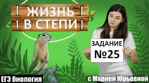 Приспособления животных и растений к жизни в степи №25 | ЕГЭ Биология | Репетитор Мария Юрьевна