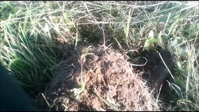 Где искать золото. смотреть онлайн
