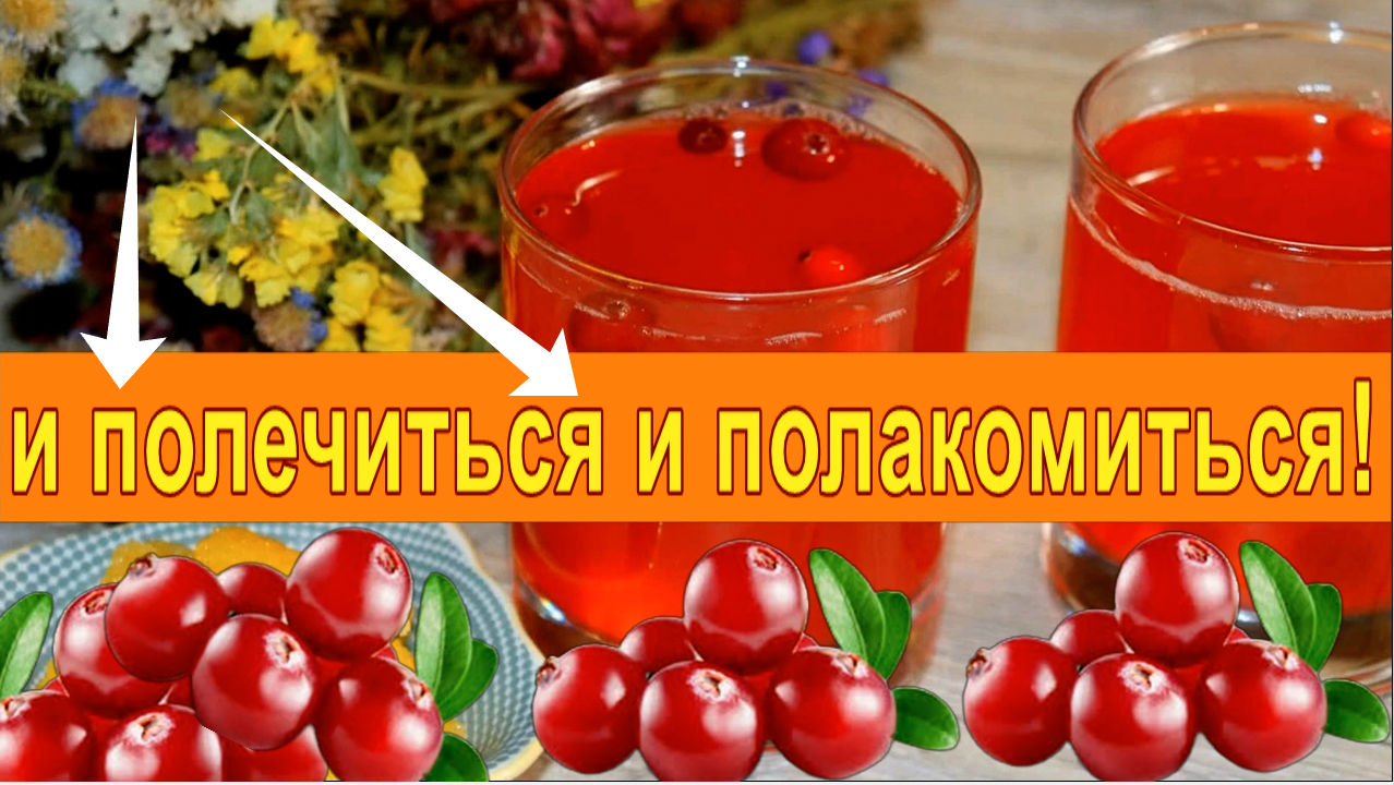 ВИТАМИННЫЙ МОРС ИЗ КЛЮКВЫ. смотреть онлайн