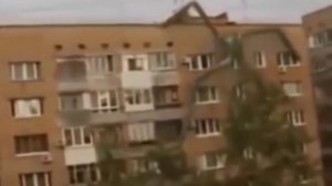 ТОП 3 ПАЛОЧНИКА СНЯТЫХ НА КАМЕРУ