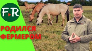 Башкирская порода лошадей. 30 лет опыта. Табунное коневодство фермеров Идиятуллиных.