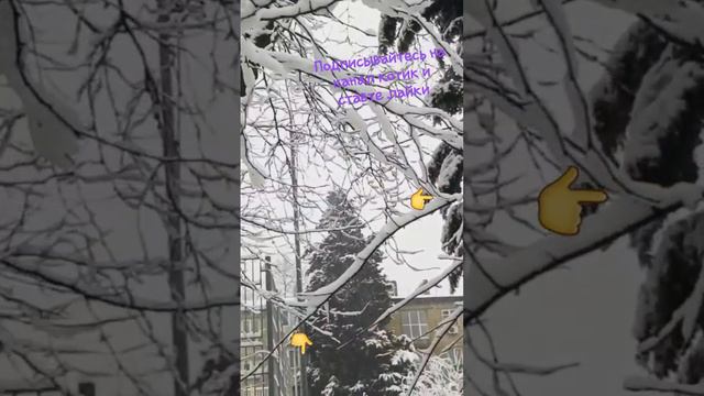 14 января 2024 год смотреть онлайн